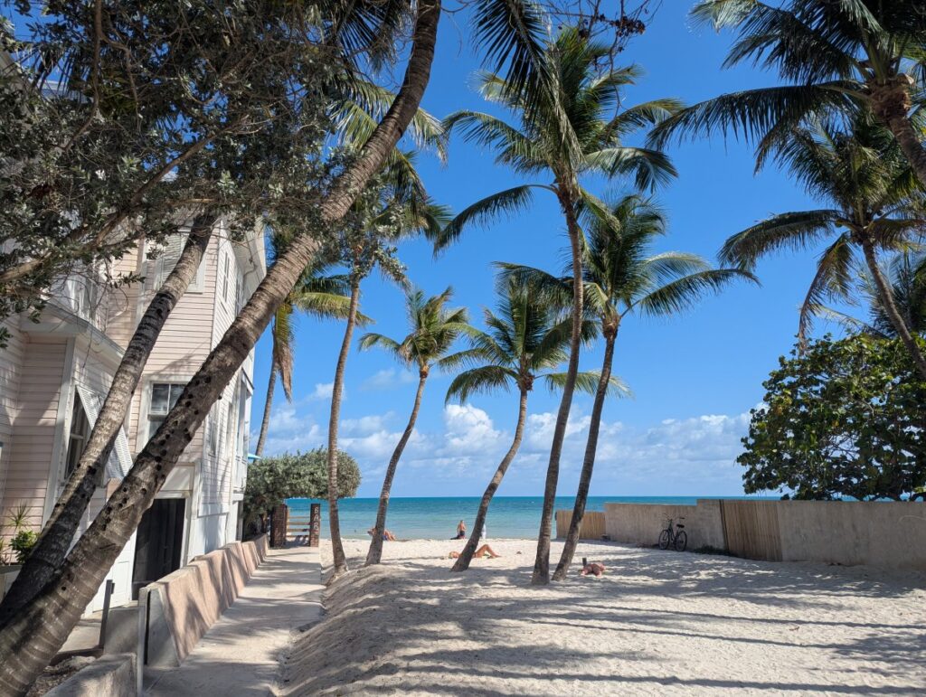 Dog Beach Key West with palm trees and turquoise water