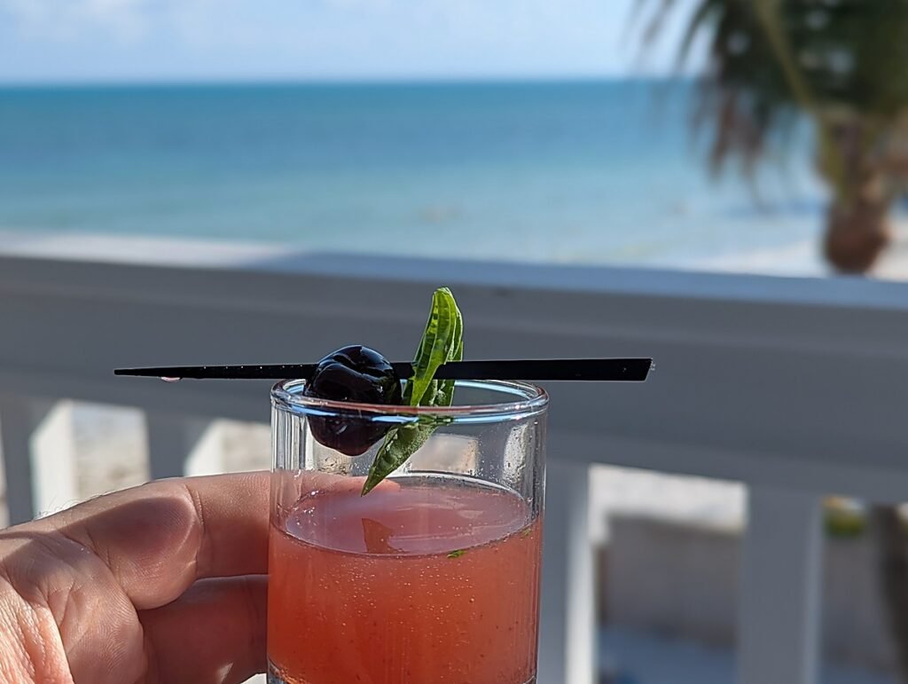 Cherry Garden cocktail with dark cherry and basil at the Café, overlooking the Atlantic